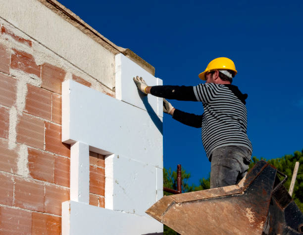 Best Commercial Insulation Contractor  in Lake Lotawana, MO