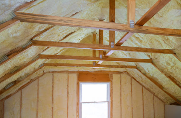 Best Residential Insulation Services  in Lake Lotawana, MO