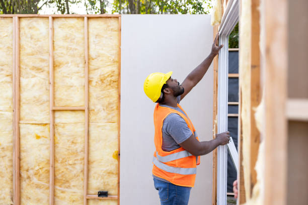 Best Cellulose Insulation  in Lake Lotawana, MO