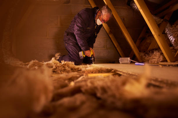 Best Insulation for New Construction  in Lake Lotawana, MO
